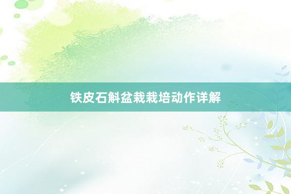 铁皮石斛盆栽栽培动作详解
